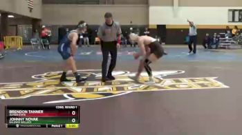 125 lbs Cons. Round 1 - Brendon Tanner, Alfred State vs Johnny Novak, Baldwin Wallace