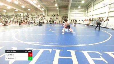 138 lbs Consi Of 16 #1 - Hogan Sims, GA vs Ryan Mitchell, PA