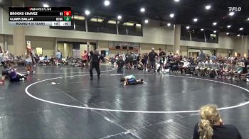 45 lbs Round 4 (6 Team) - Brooks Chavez, Moyer Elite vs Clark Ballay, Williamson County WC