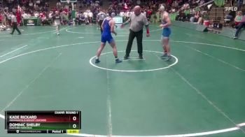 165 lbs Champ. Round 1 - Kade Rickard, Indianapolis Bishop Chatard vs Dominic Shelby, Eastern Hancock