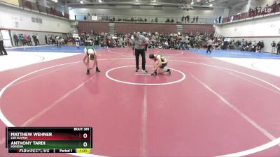 138 lbs Cons. Round 2 - Anthony Tardi, Horizon vs Matthew Wehner, Los Alamos