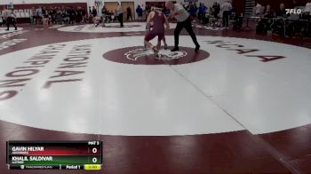 141 lbs Champ. Round 1 - Gavin Hilyar, Augsburg vs Khalil Saldivar, Luther