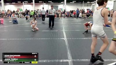 76 lbs Round 2 (8 Team) - Adam Bachmann, PA Alliance vs Jaxon Tanelli, Bitetto Trained