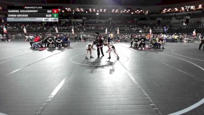49 lbs Quarterfinal - Gabriel Goldsberry, Iron Horse vs Owen Grosse, Mahwah