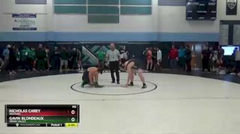 182 lbs Semifinal - Gavin Blondeaux, Green Valley vs Nicholas Carey, Western