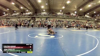 70 lbs Quarterfinal - Colton Hogue, Terminator Wrestling Academy-AAA  vs Odin Smalley, Open Mats Wrestling Club-AAA