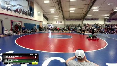 126 lbs Champ. Round 2 - Henry Quiver, Lander Valley vs Trace Blajszczak, Natrona County