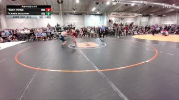 215 lbs Quarterfinal - Evan Perez, Windsor vs Chase Sullivan, Widefield