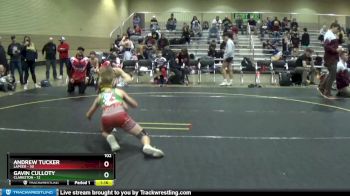 102 lbs Semis (4 Team) - Gavin Culloty, Clarkston vs Andrew Tucker, Lapeer