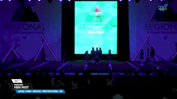 Twisters - Mini Mist [2025 L1 Mini - Novice - Restrictions - D2 Day 1] 2025 The Southeast Regional Summit