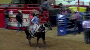 The American | Sunday, Feb. 18, Tie-Down Roping Qualifier, Round 1