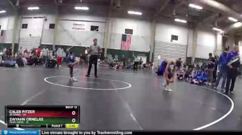 110 lbs Round 4 (6 Team) - Caleb Pitzer, Jr Titans vs Zaiyahn Ornelas, Team Zapas