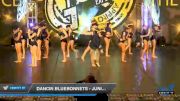 Dancin Bluebonnets - Junior Coed - Contemporary/Lyrical [2020 Junior - Contemporary/Lyrical Day 1] 2020 Encore Championships: Houston DI & DII