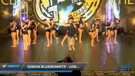 Dancin Bluebonnets - Junior Coed - Contemporary/Lyrical [2020 Junior - Contemporary/Lyrical Day 1] 2020 Encore Championships: Houston DI & DII