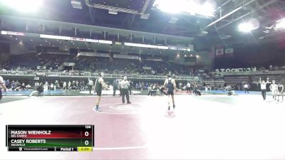 126 lbs Quarterfinal - Casey Roberts, Vacaville vs Mason Wienholz, Del Campo