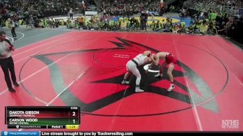 1st Place Match - Dakota Gibson, Doniphan-Trumbull vs Carson Wood, Boone Central