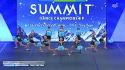The Vision Dance Center - TVDC Tiny Pom [2026 Tiny - Premier - Pom Finals] 2026 The Dance Summit