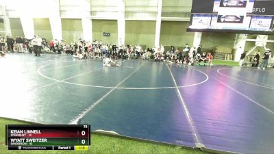 75 lbs Round 2 (4 Team) - Wyatt Sweitzer, Sanderson vs Keian Linnell, Stansbury