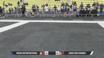 Gabriel Roriz Fernandes vs VINICIUS JOSE MARTINS PEREIRA 2026 CBJJE International BJJ Championships