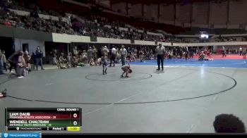 44 lbs Cons. Round 1 - Liam Daub, Poquoson Athletic Association vs Wendell Chaltraw, Smithfield Youth Wrestling
