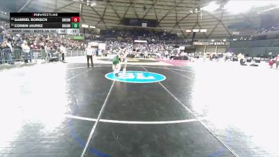 Boys 3A 157 lbs 3rd Place Match - Gabriel Borisch, Southridge vs Corbin Jaurez, Shadle Park