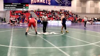 285 lbs Champ. Round 1 - Carter Wallace, Otterbein University vs Bryan Guzman, Shenandoah University