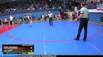 106 lbs 3rd Place Match - Emily Anderson, Hamilton Southeastern vs Joy Cantu, Merrillville