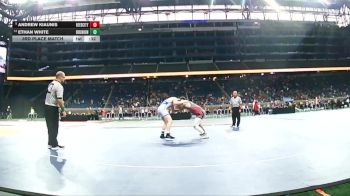 D3-165 lbs 3rd Place Match - Andrew Kiaunis, Reed City vs Ethan White, Birch Run