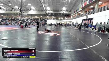 103 lbs Semifinal - Gabriele Tedesco, McKendree University vs Rianne Murphy, Iowa