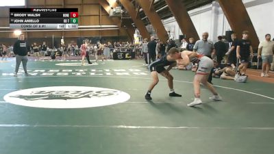 125 lbs Consi Of 8 #1 - Brody Walsh, Honesdale Highschool/matt Assassins vs John Aniello, Kd Trained
