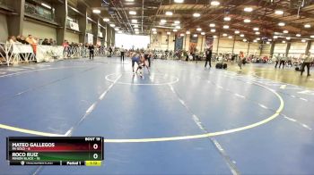 100 lbs Rd# 8- 12:30pm Saturday Final Pool - Mateo Gallegos, PA Gold vs Roco Ruiz, Minion Black