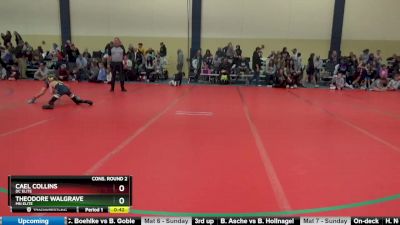 75 lbs Cons. Round 2 - Cael Collins, DC Elite vs Theodore Walgrave, MN Elite