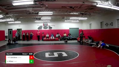 133 lbs Cons. Round 5 - Peyton Gallaher, United Hs vs Joel Kline, Plum Hs