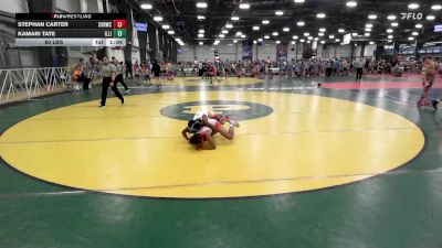 80 lbs Rr Rnd 2 - Stephan Carter, Steel Valley Renegades vs Kamari Tate, Illinois Menace