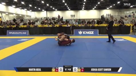 Joshua Scott Dawson vs Martin Abeal 2025 World IBJJF Jiu-Jitsu No-Gi Championship
