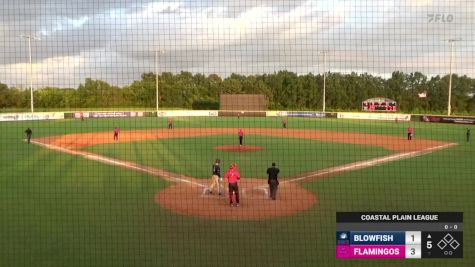 Replay: Home - 2024 Blowfish vs Flamingos | Jul 10 @ 7 PM