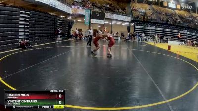 133 lbs Champ. Round 2 - Hayden Mills, Nebraska vs Vincent Cintrano, Unattached