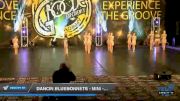 Dancin Bluebonnets - Mini - Contemporary [2020 Mini - Contemporary/Lyrical Day 1] 2020 Encore Championships: Houston DI & DII