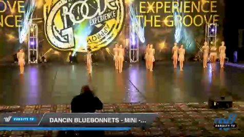 Dancin Bluebonnets - Mini - Contemporary [2020 Mini - Contemporary/Lyrical Day 1] 2020 Encore Championships: Houston DI & DII