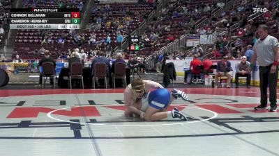 189 lbs Preliminaries - Connor Gillahan, Bethlehem Catholic vs Cameron Hershey, Spring Grove
