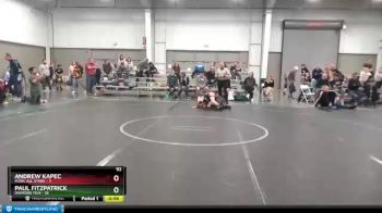 92 lbs Finals (2 Team) - Paul Fitzpatrick, Diamond Fish vs Andrew Kapec, MJWL All Stars