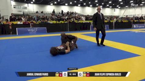 Juan Felipe Espinosa Builes vs Jamual Edward Parks 2025 World IBJJF Jiu-Jitsu No-Gi Championship