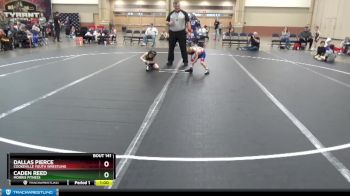 48-52 lbs Round 2 - Dallas Pierce, Cookeville Youth Wrestling vs Caden Reed, Morris Fitness