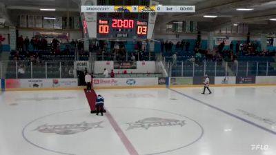 Ice Hockey - Men's Gold Medal Match - Full Replay