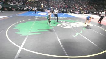 Quarterfinal - Ethan Hawkins, West Holt vs Logan Zimmerman, Wilber-Clatonia