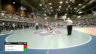 Semifinal - Kyle Detwiler, Bear River vs Hans Herrmann, Sky View