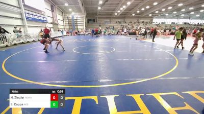 75 lbs Rr Rnd 1 - Harrison Ziegler, Roman Legion vs Ezra Cappa, Indiana Outlaws Gold