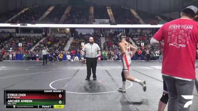 130 lbs Champ. Round 1 - Archer Amrein, Hill City vs Cyrus Choi, Blue Valley