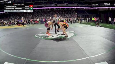 D4-175 lbs Quarterfinal - Sebastian Martinez, Riverview Gabriel Richard vs Lukas Strine, Reading