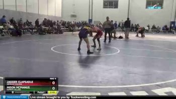 141 lbs Prelim - Jagger Clapsadle, Ursinus College vs Mison McManus, Elmira College